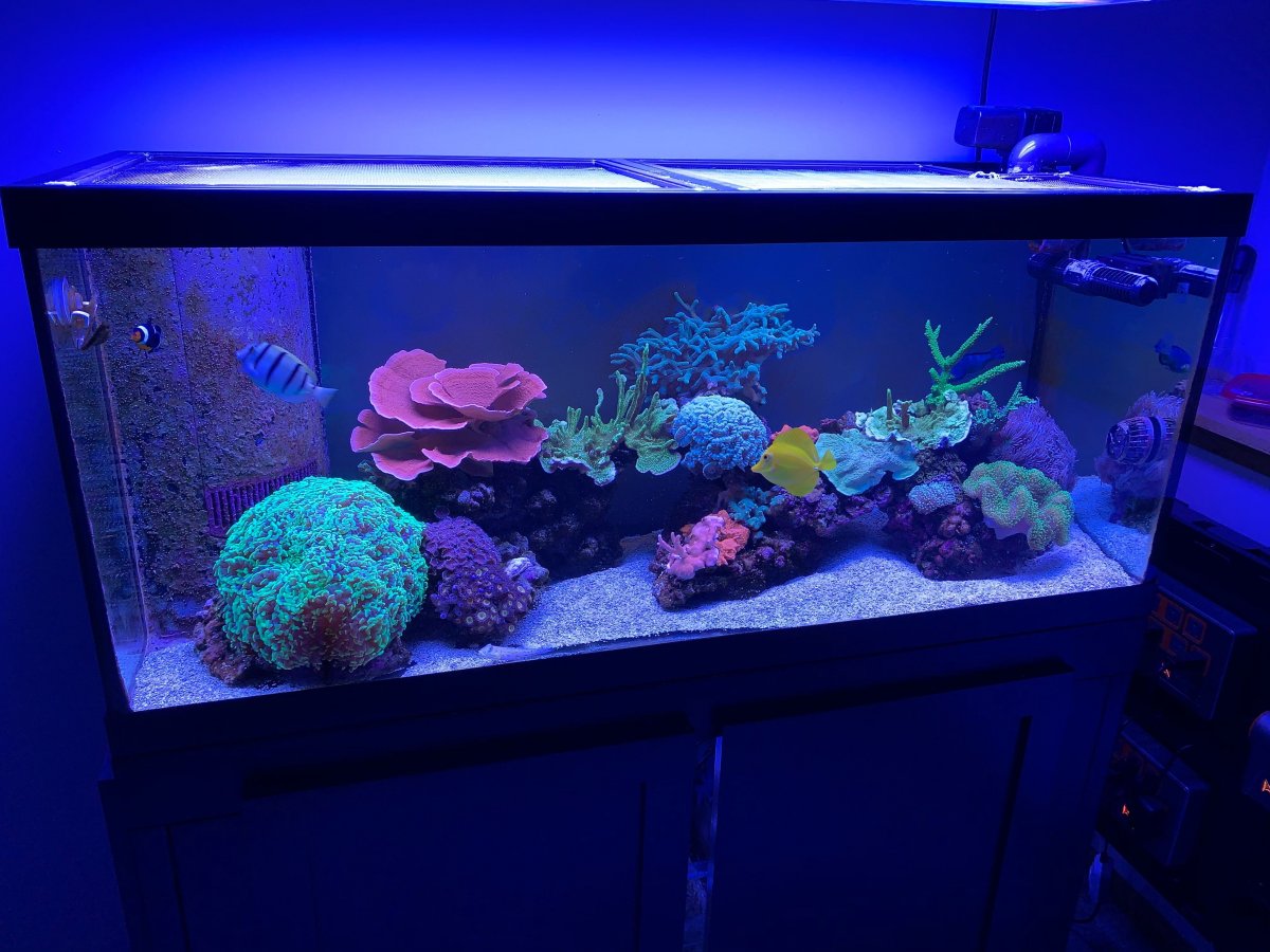 Image from iOS (7).jpg
