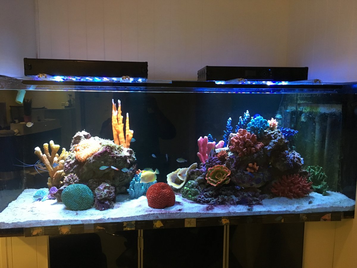 large artificial coral reef aquarium decorations