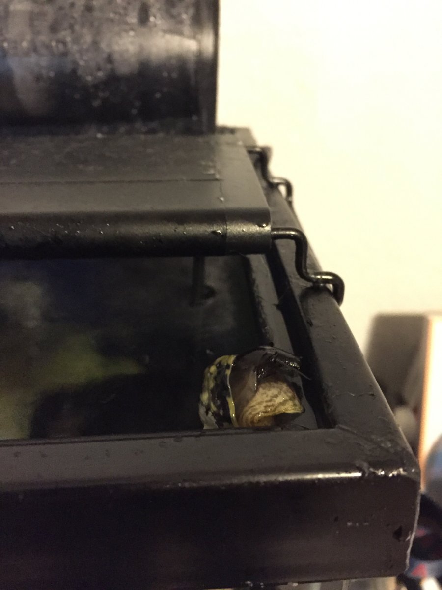 image.jpeg