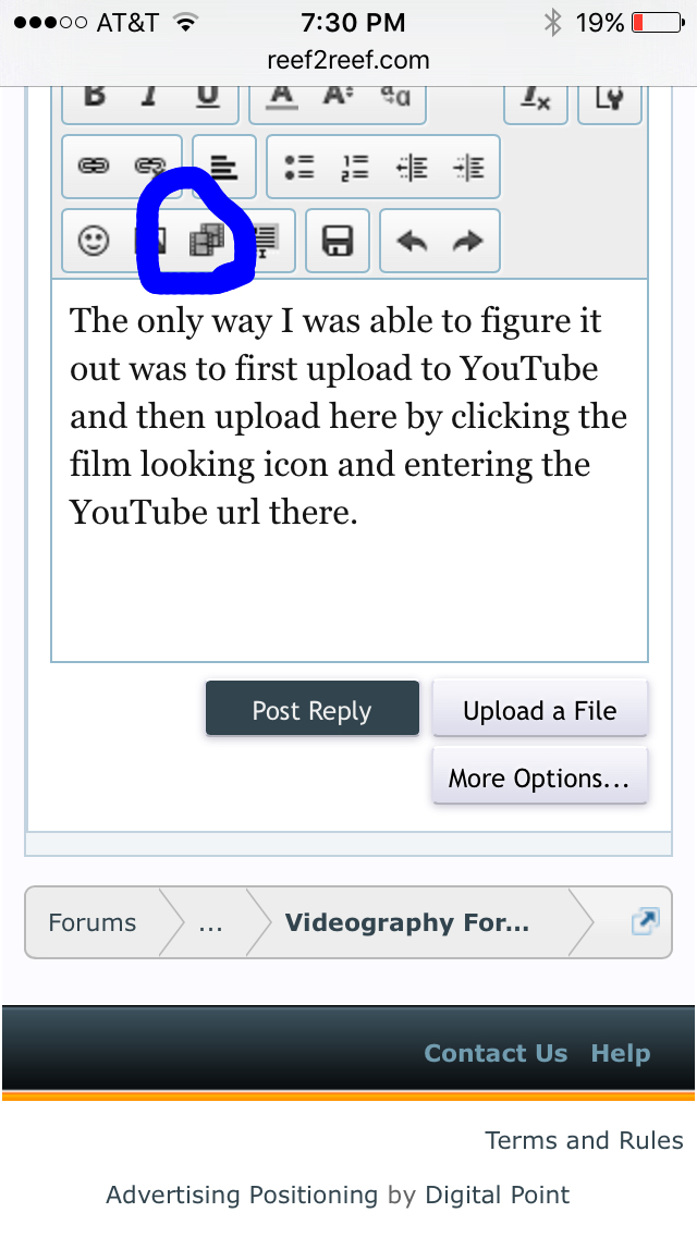 image.jpeg