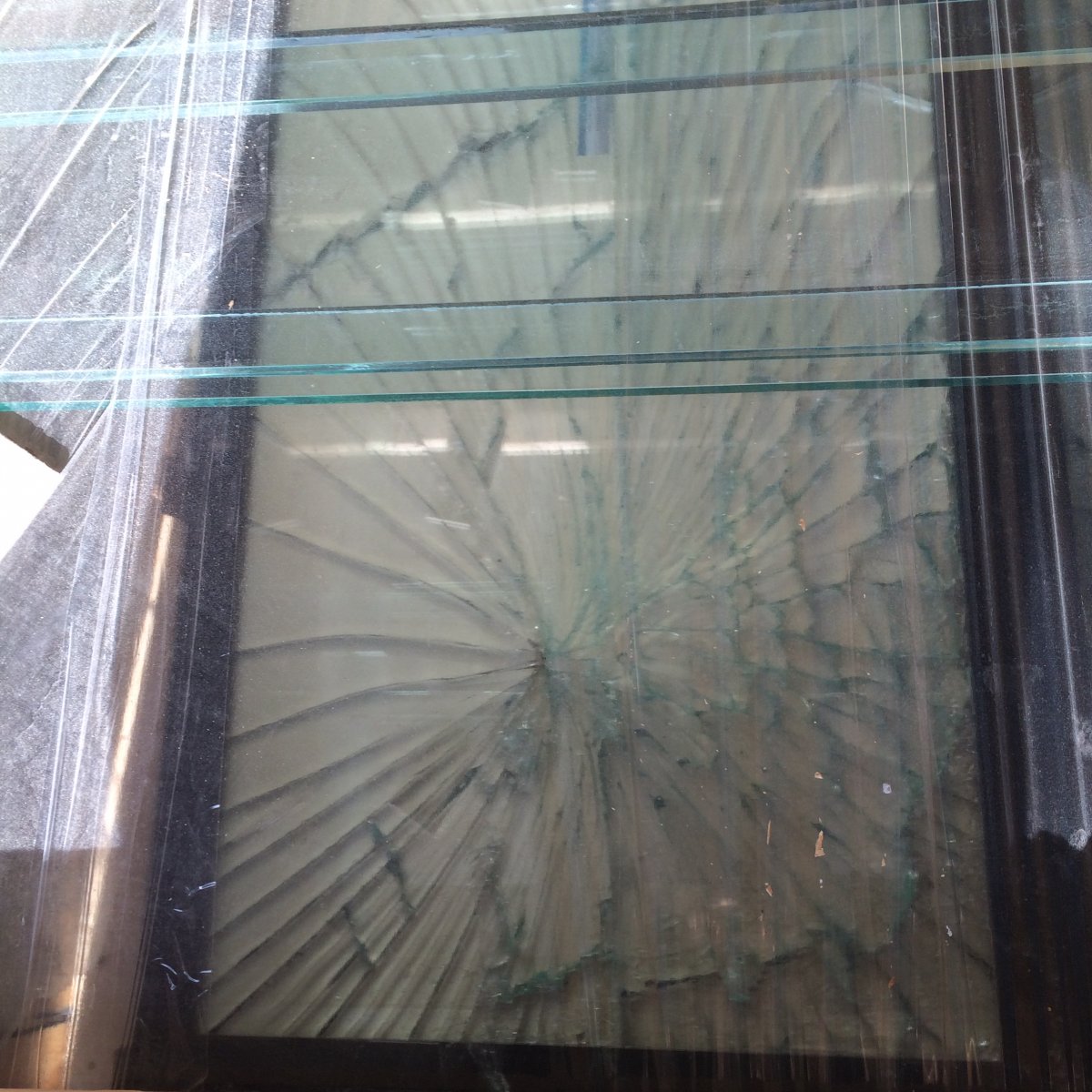 image.jpeg