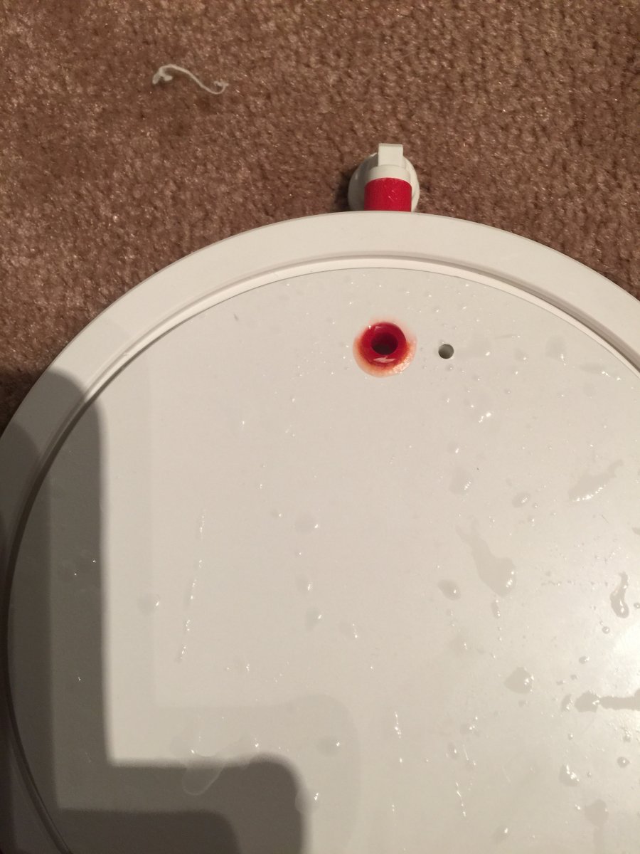 image.jpeg