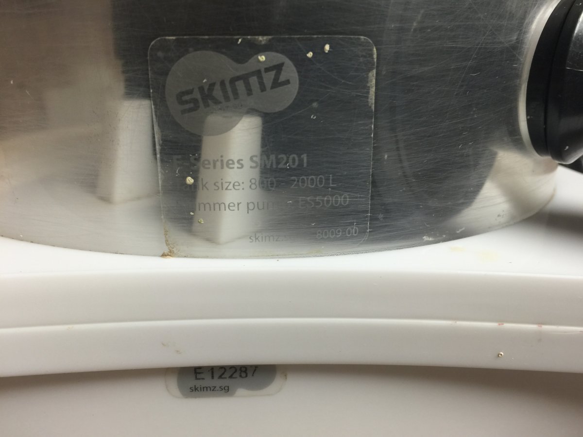 image.jpeg