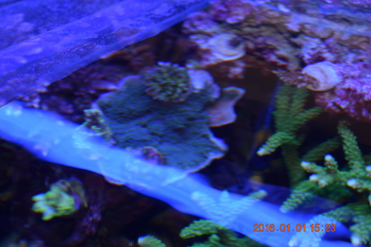 image.jpeg