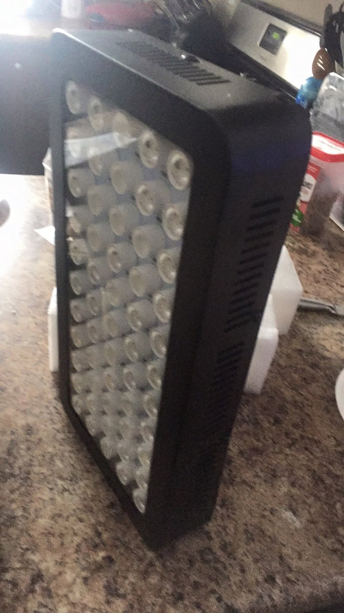 image.jpeg