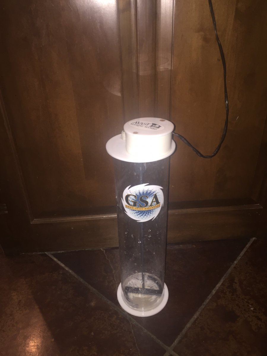image.jpeg