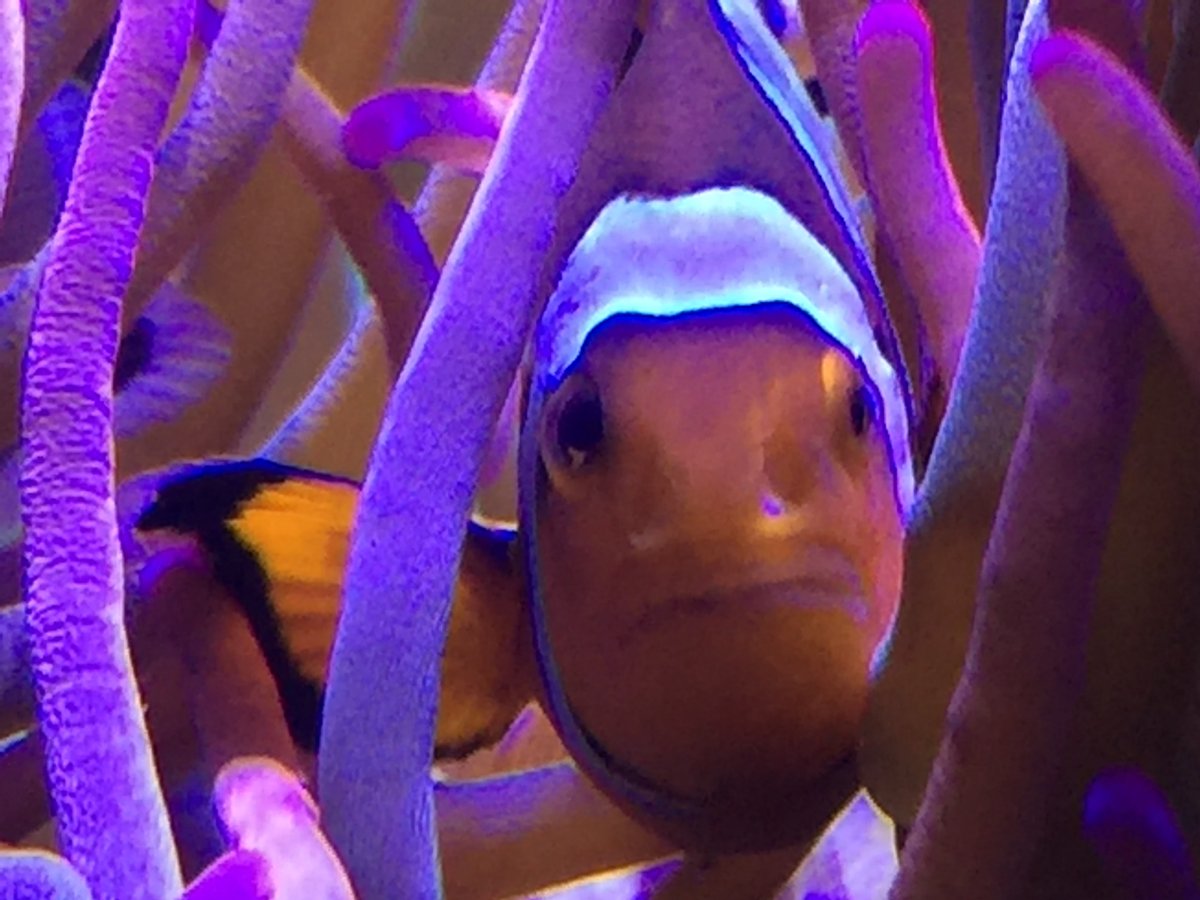 image.jpeg