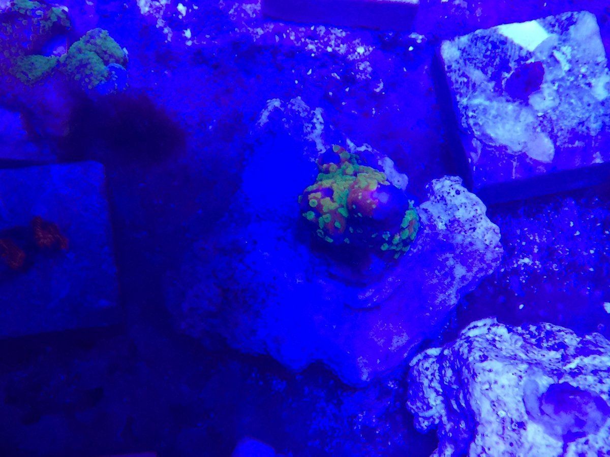 image.jpeg
