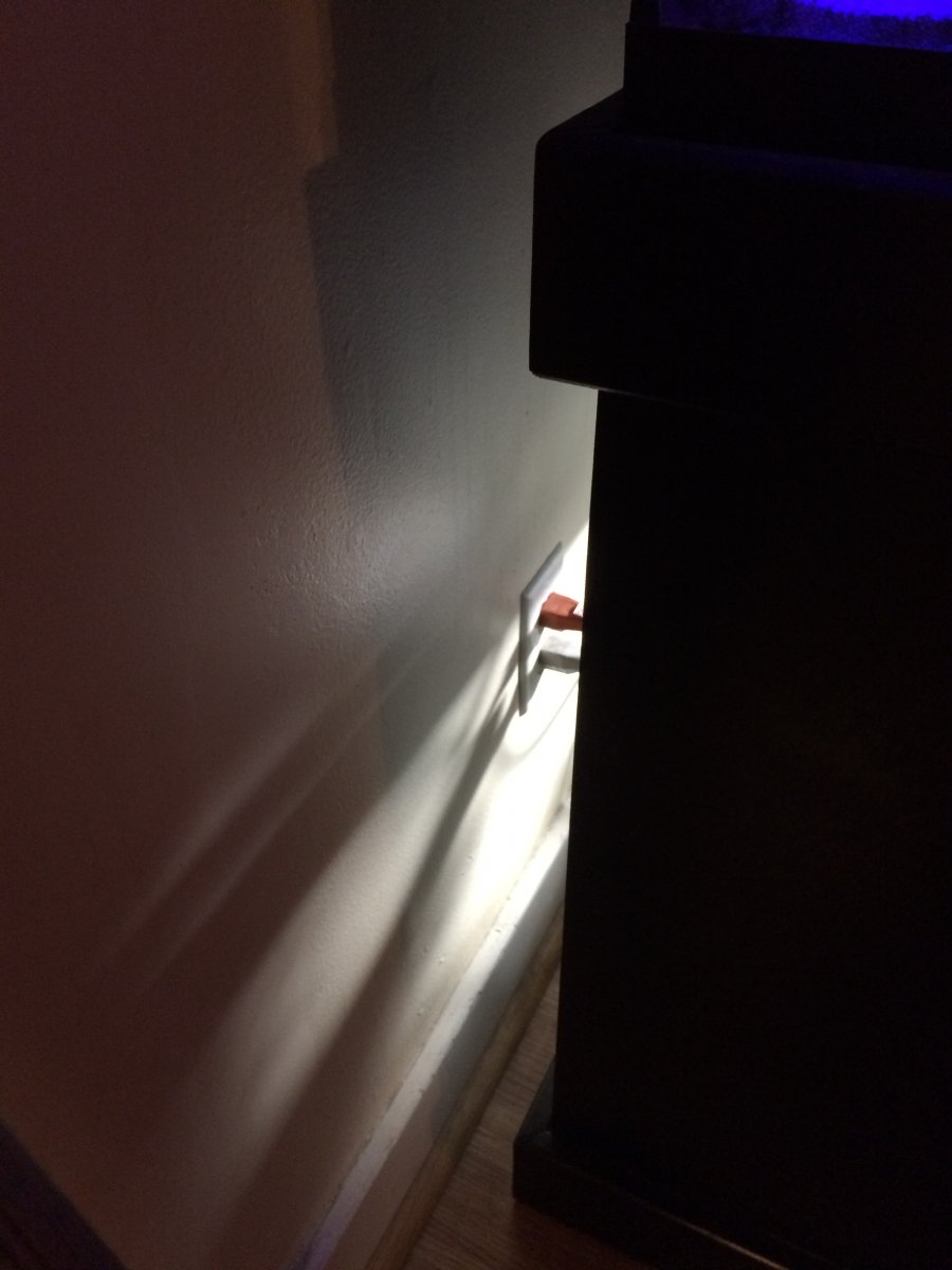 image.jpeg