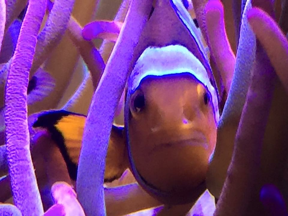 image.jpeg