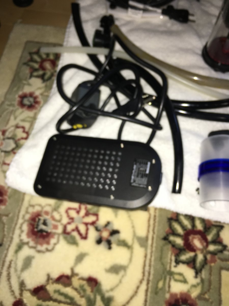 image.jpeg