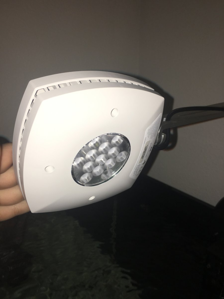 image.jpeg