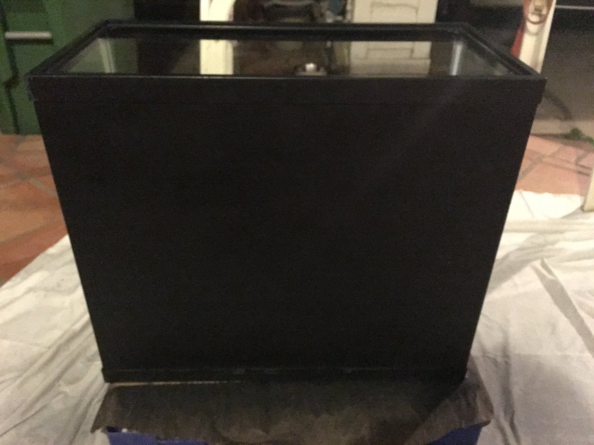 image.jpeg