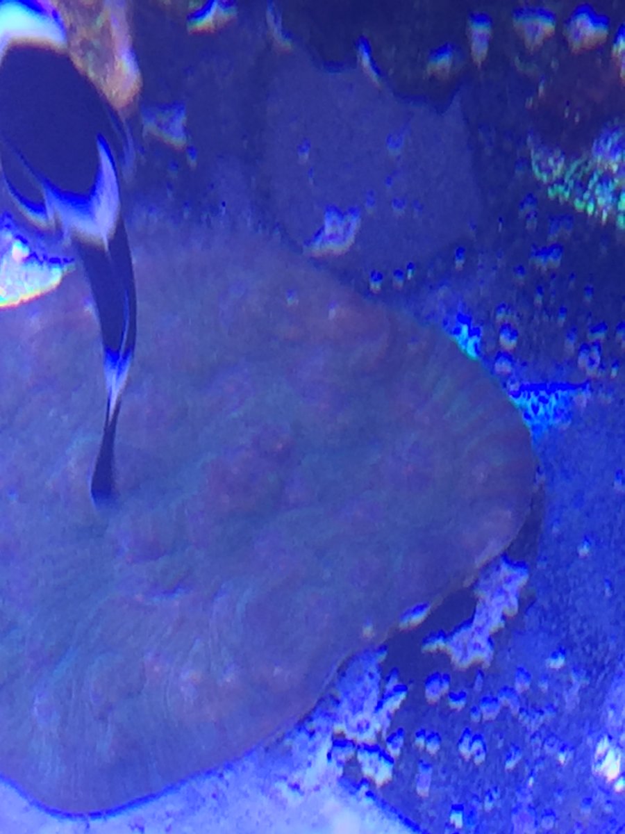 image.jpeg