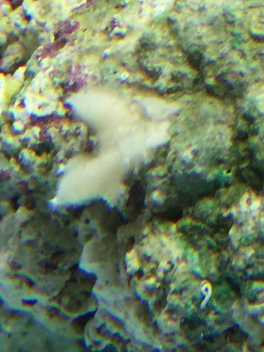 image.jpeg