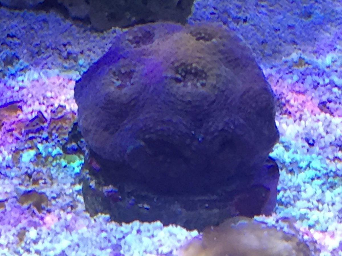 image.jpeg