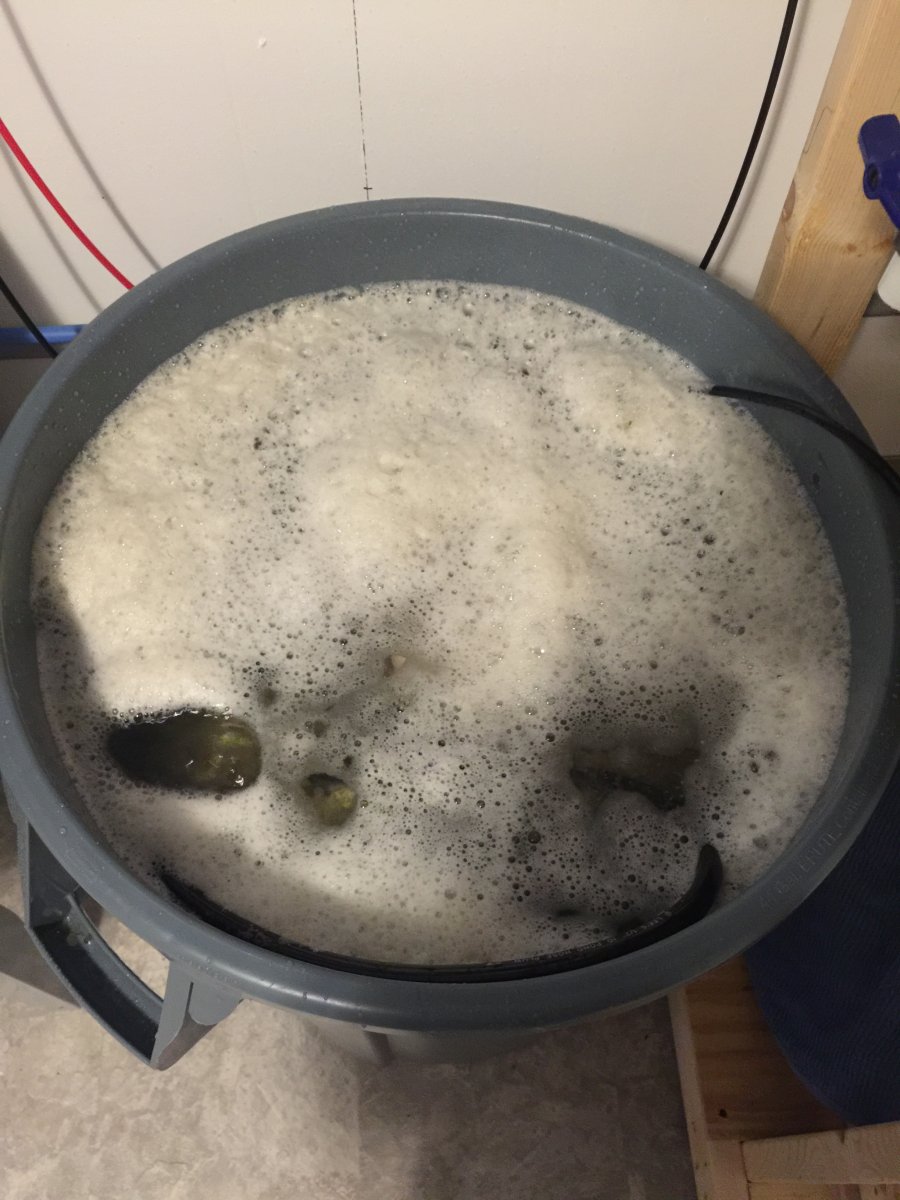 image.jpeg