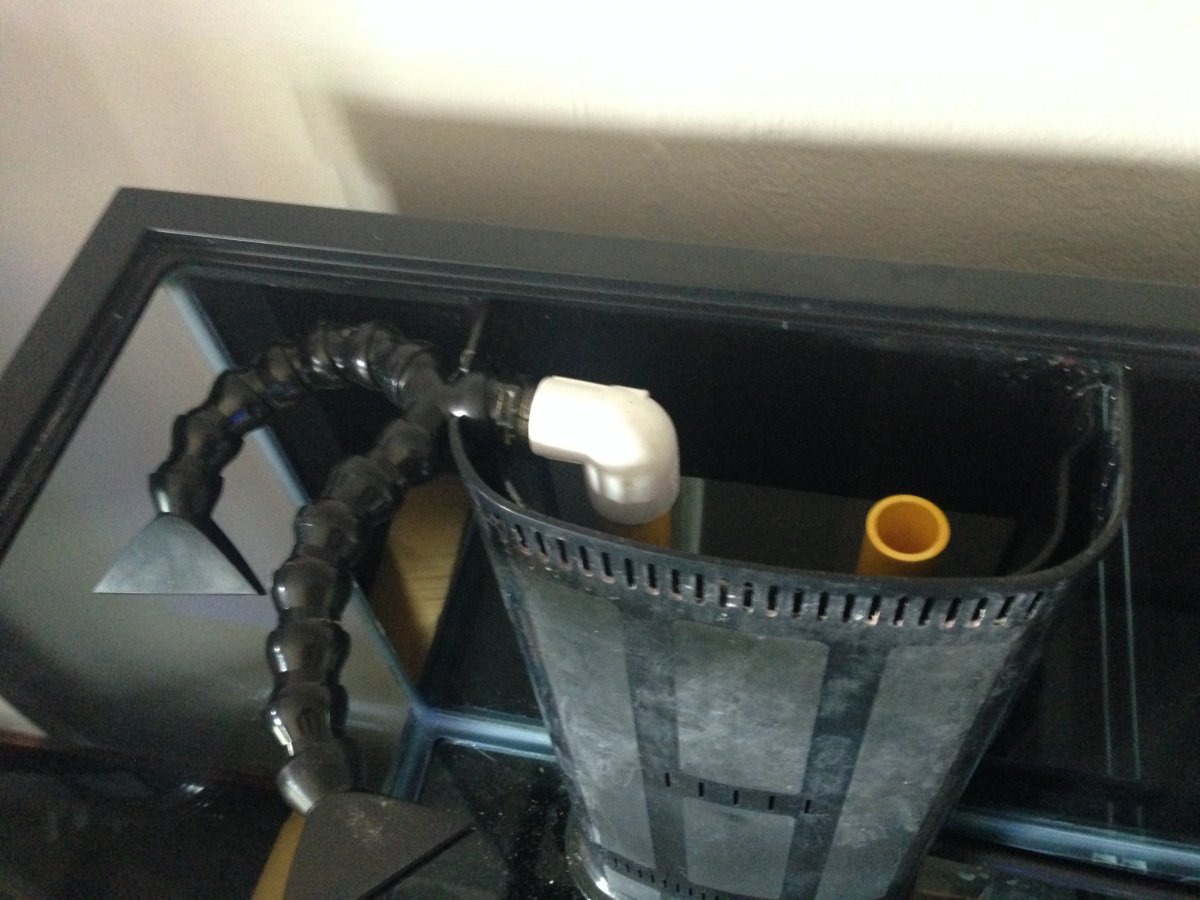 image.jpeg