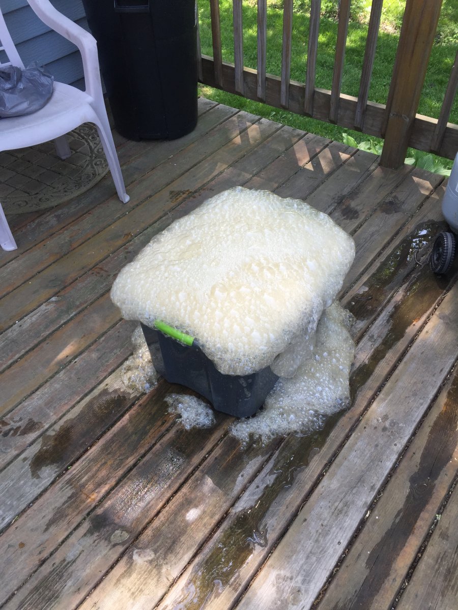 image.jpeg