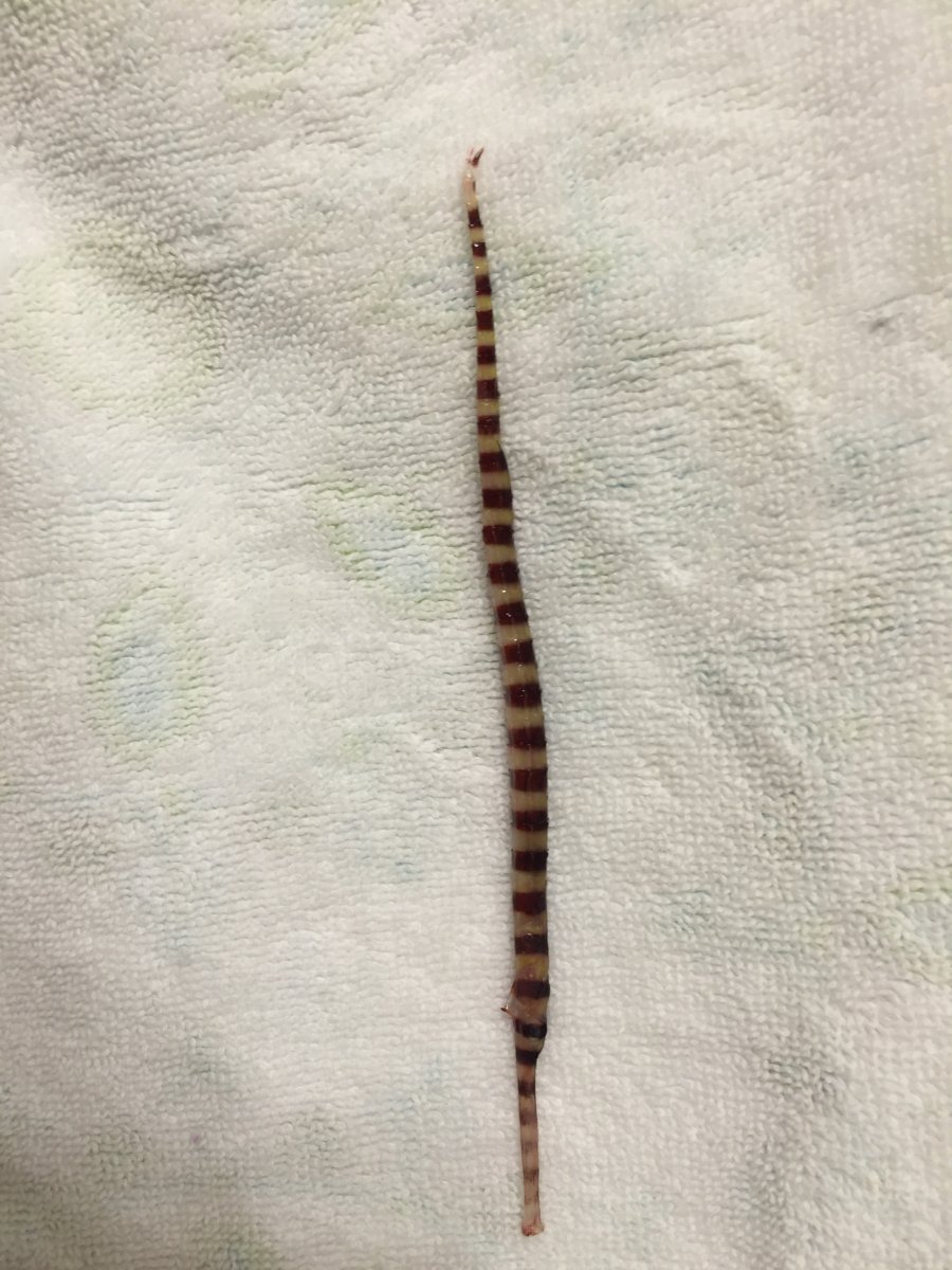 image.jpeg