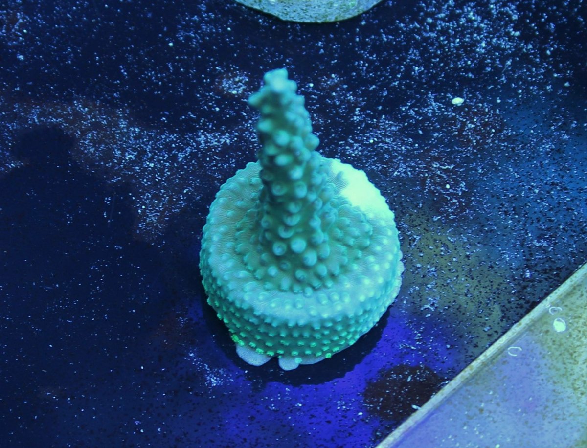 image.jpeg