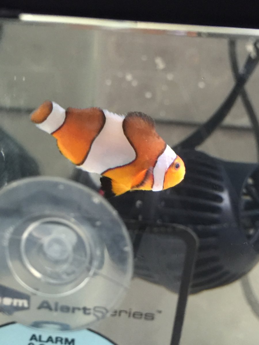 image.jpeg