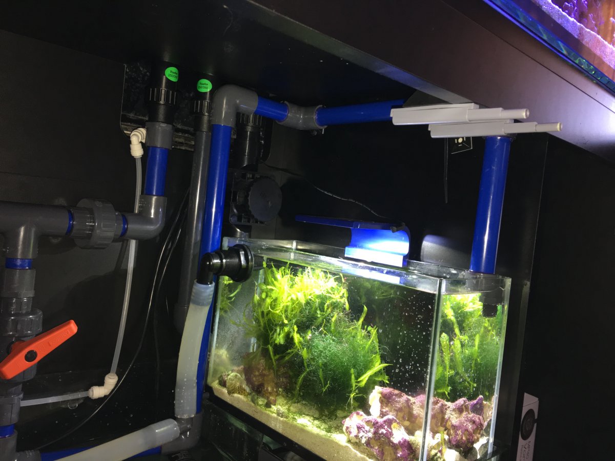 Show Off and Discuss Your Red Sea Reefer Series | Page 66 | Reef2Reef