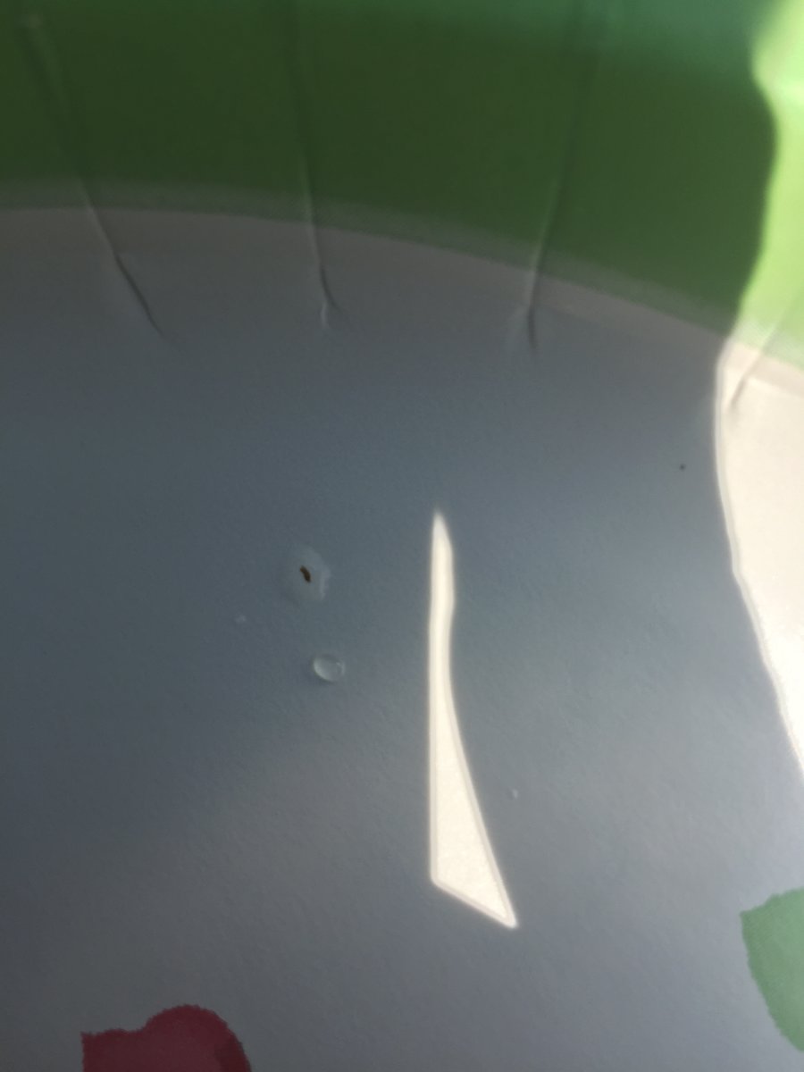 image.jpeg