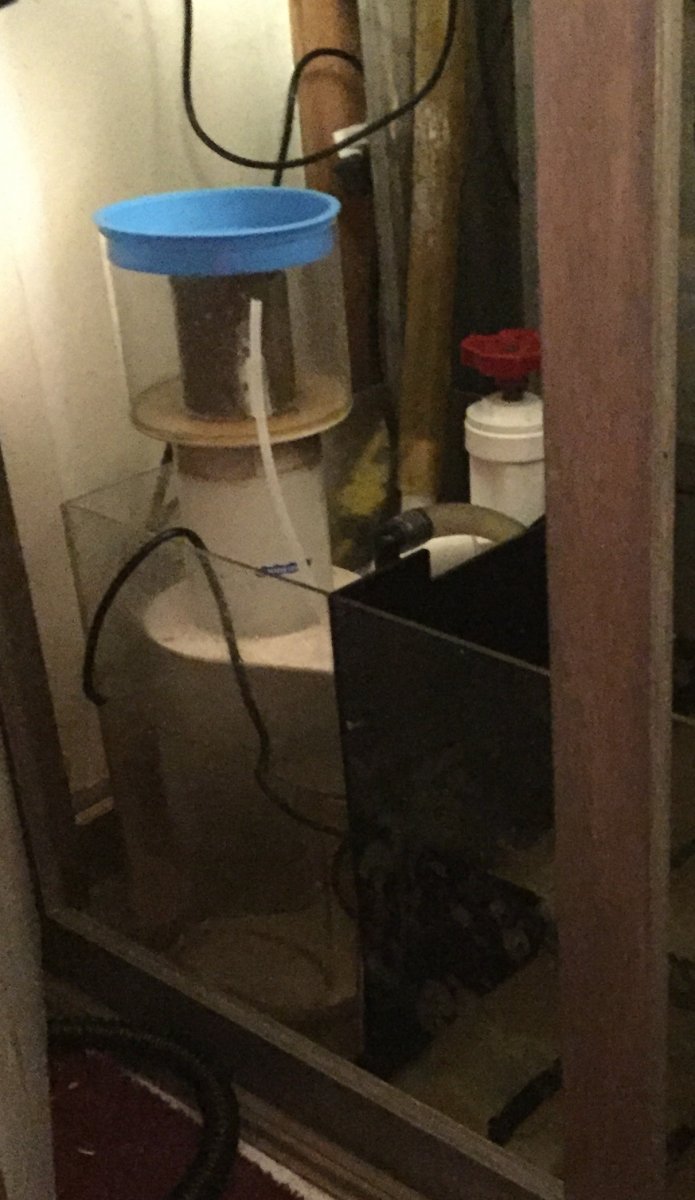 image.jpeg