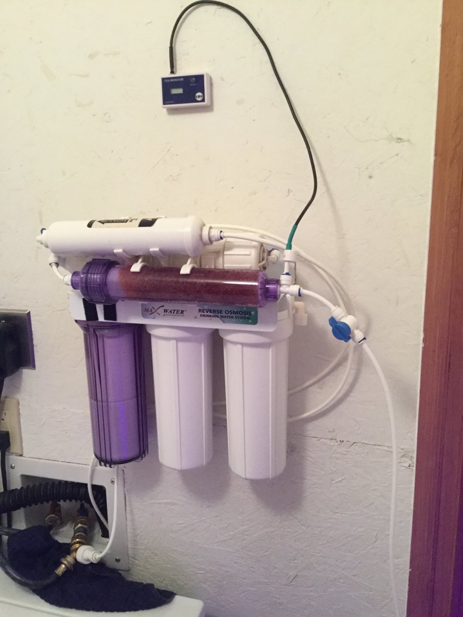 image.jpeg