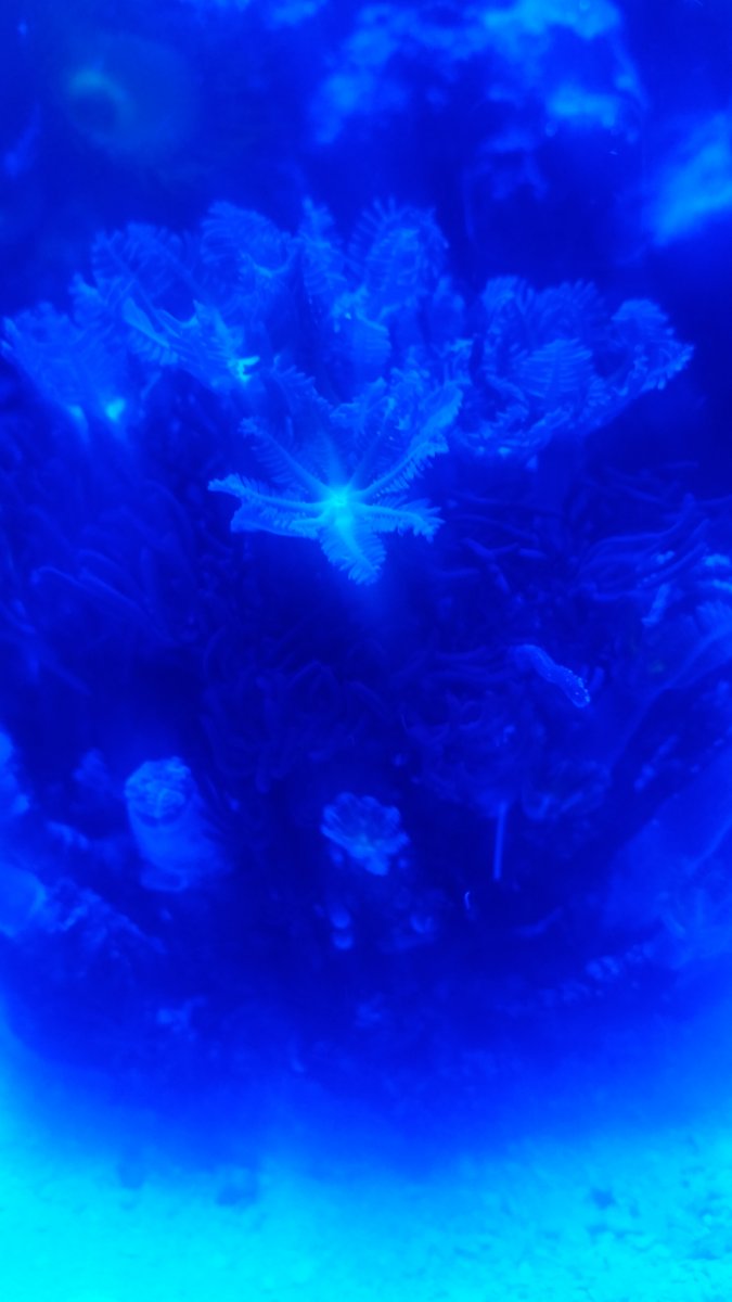 image.jpeg