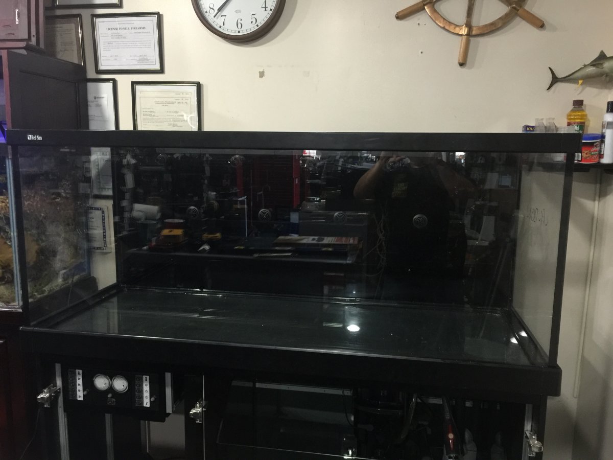 image.jpeg