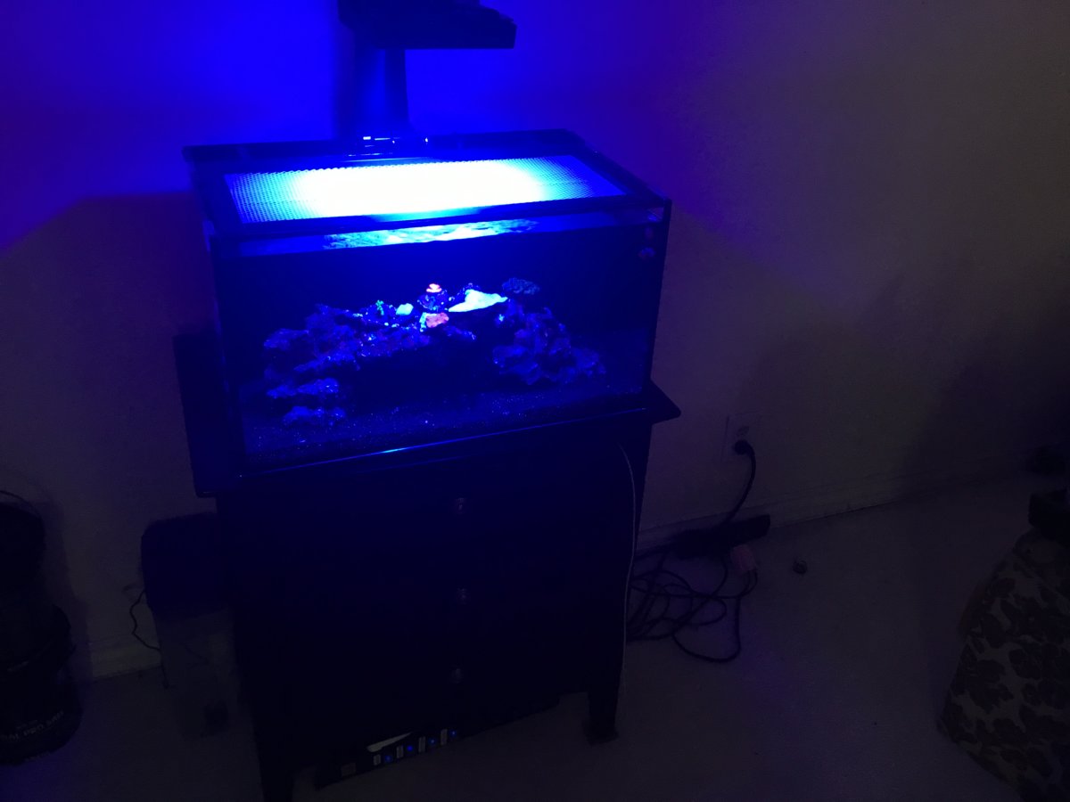 image.jpeg