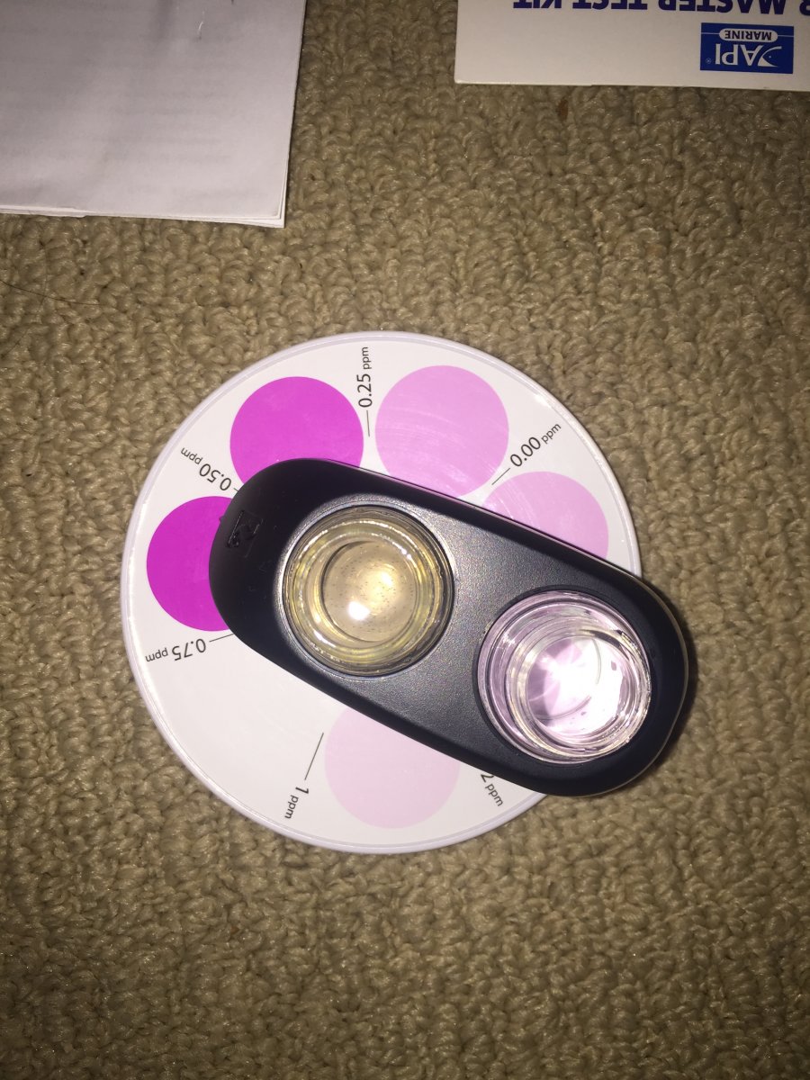 image.jpeg