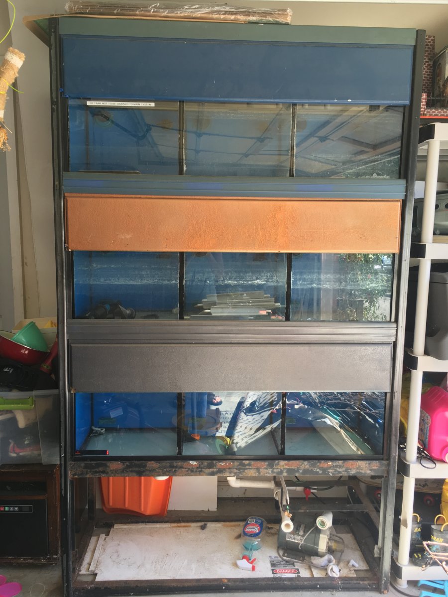 Commercial tank rack system  REEF2REEF Saltwater and Reef