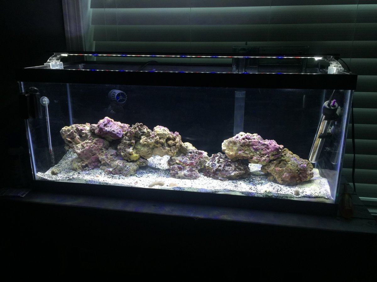 image.jpeg
