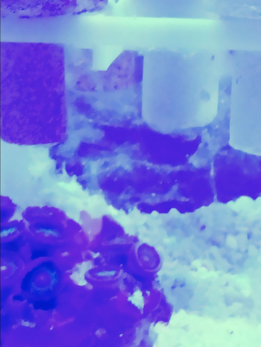 image.jpeg