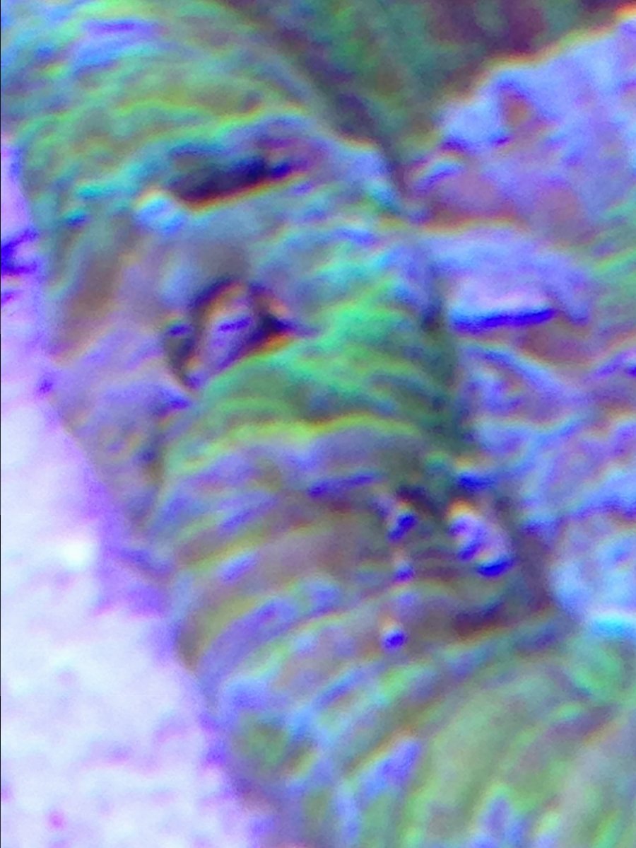 image.jpeg