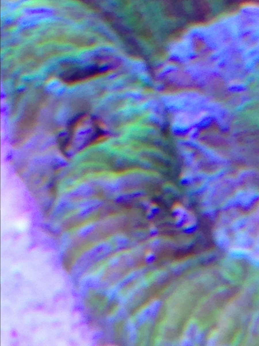 image.jpeg