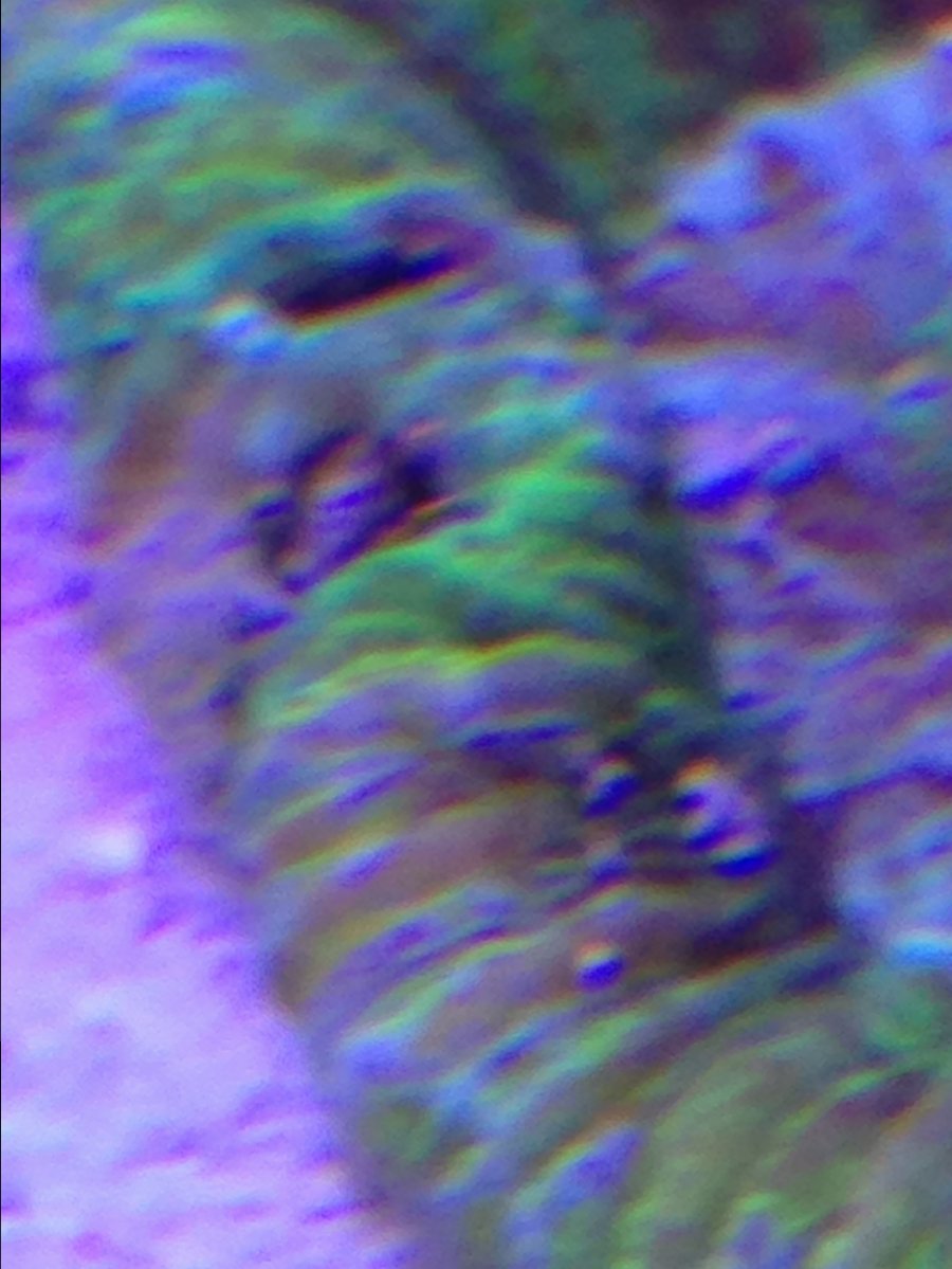 image.jpeg