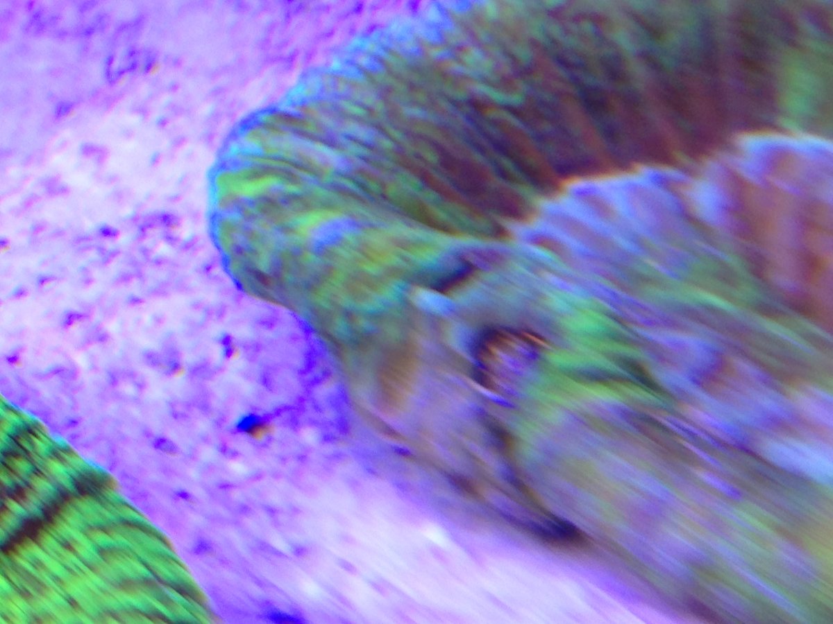 image.jpeg