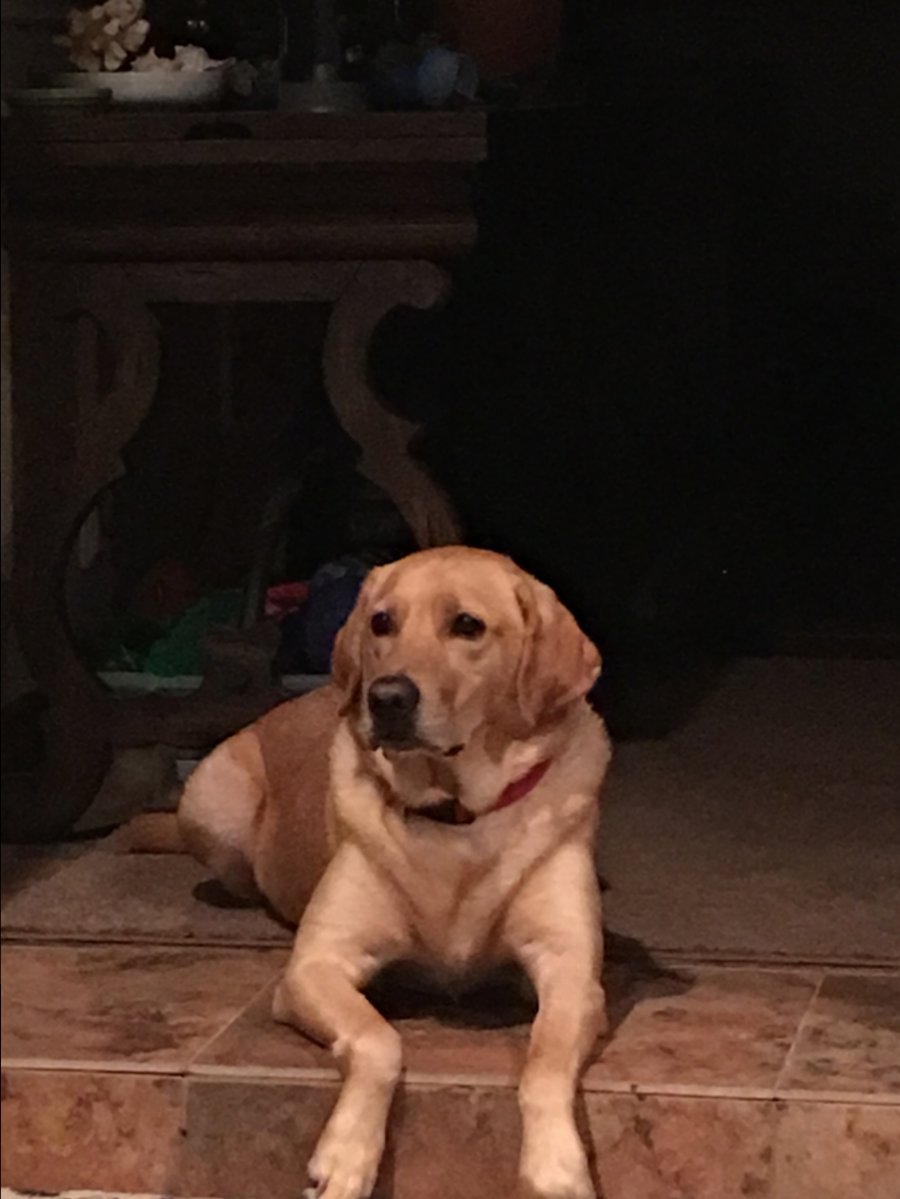 image.jpeg