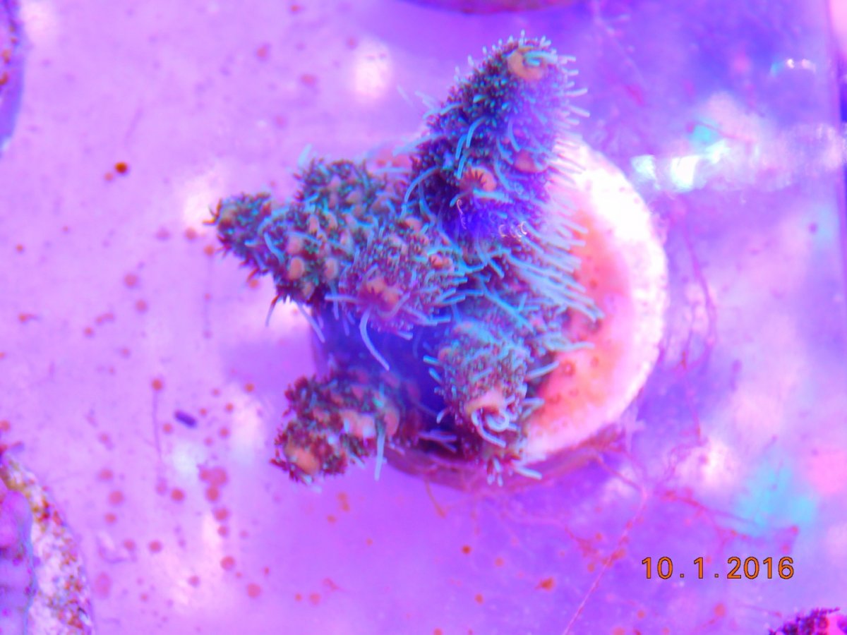 image.jpeg