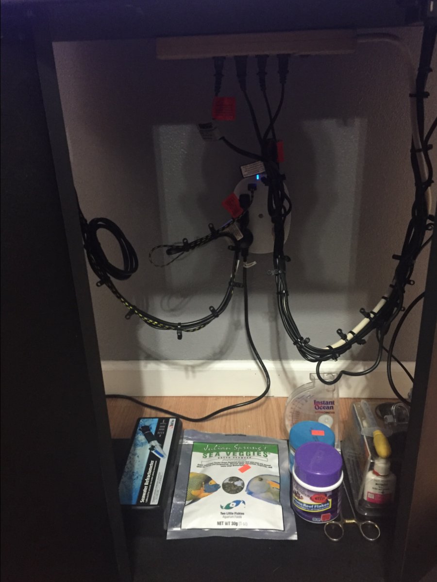image.jpeg