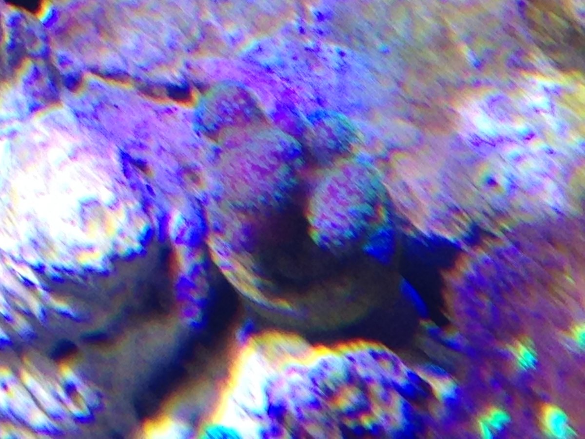 image.jpeg