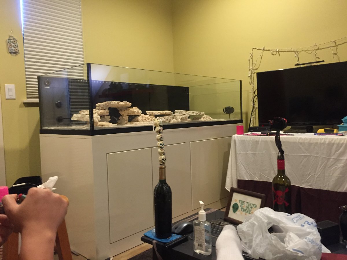 image.jpeg