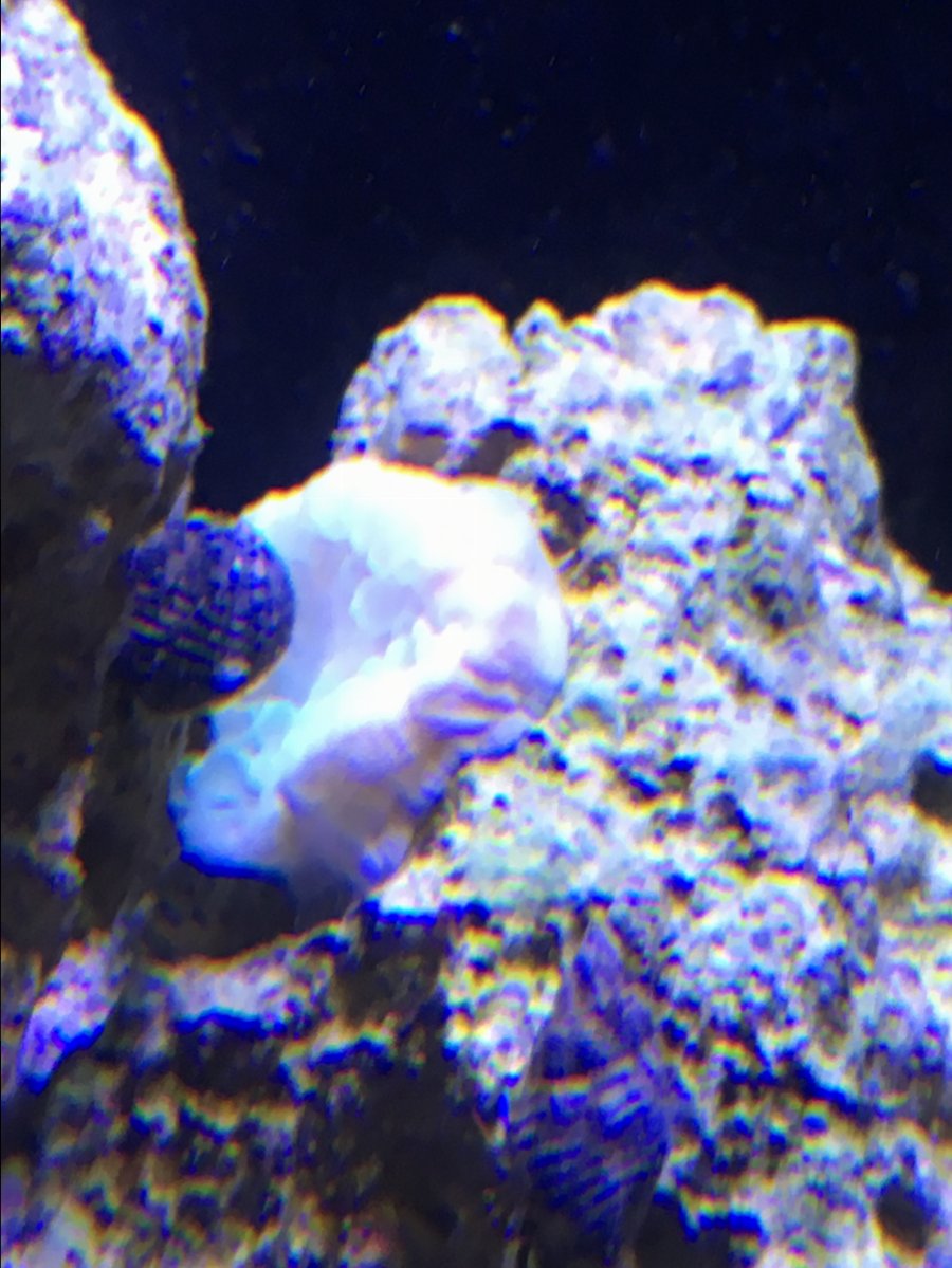 image.jpeg