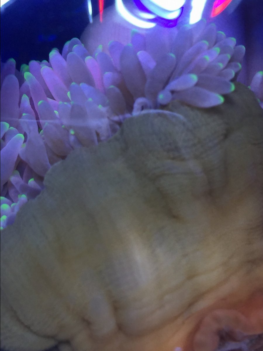 image.jpeg