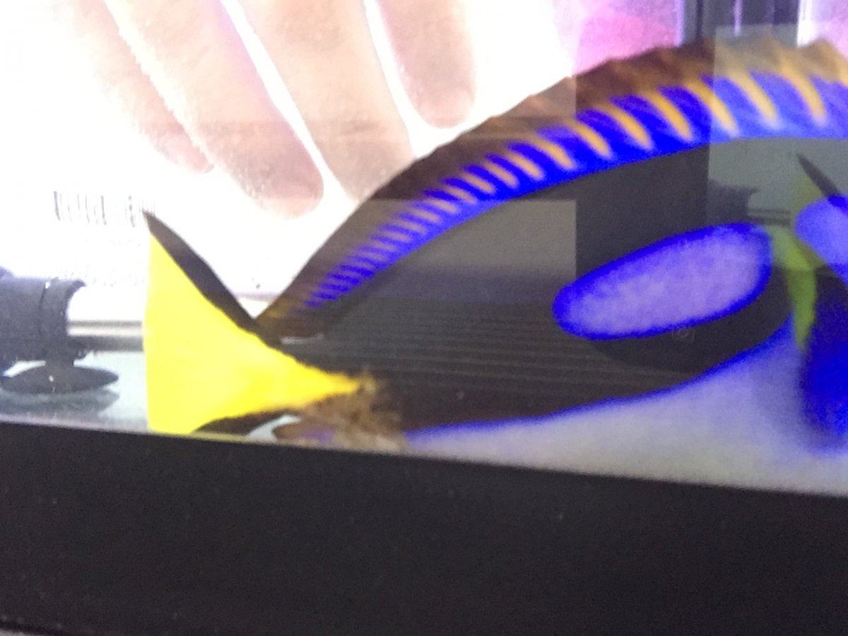 image.jpeg