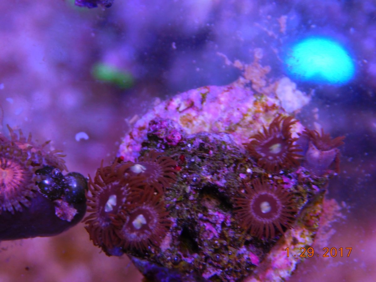 image.jpeg